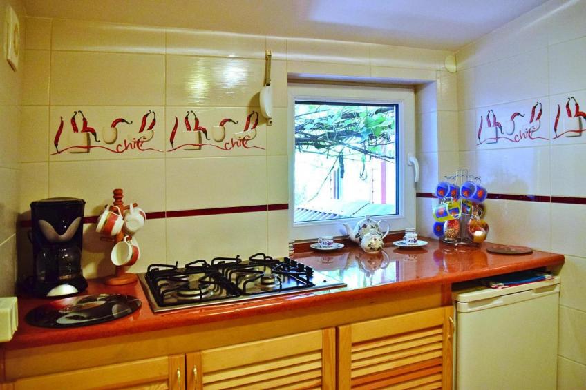 holiday home, Bieszkowice-FH 4 Pers. - foto 16