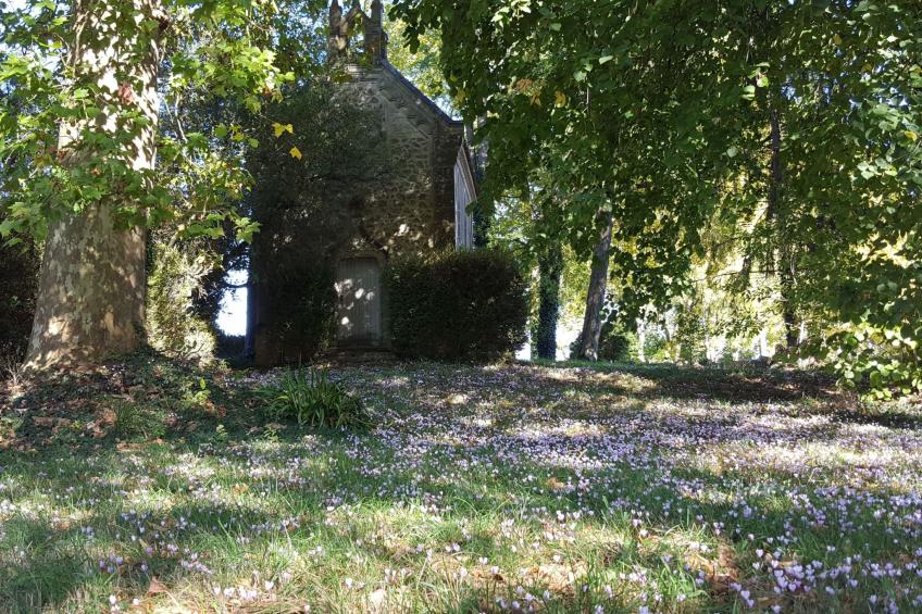 Der Pavillon - im Park des Schlosses Lescaut - foto 33