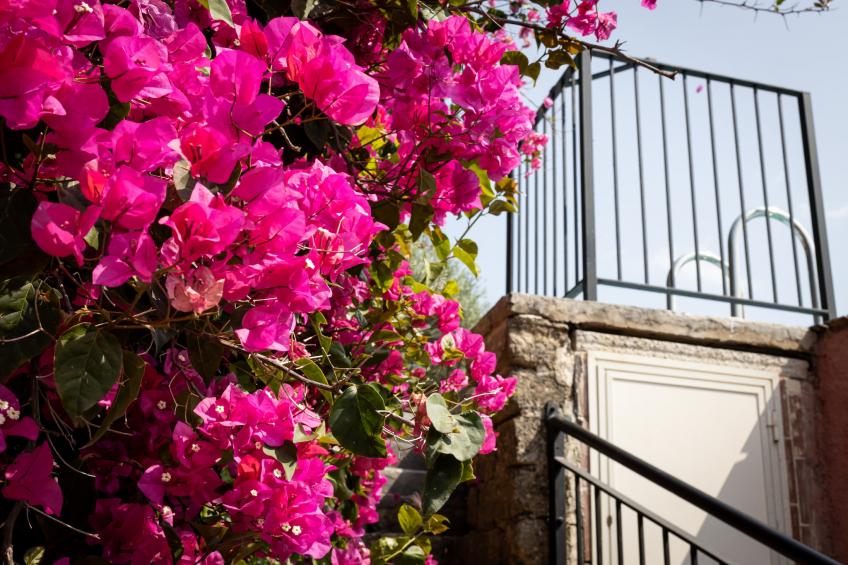 Casa Bellini 2 - foto 31