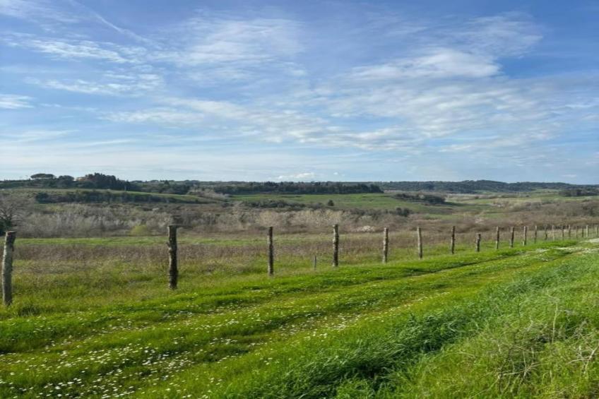 Villa Celli - foto 29