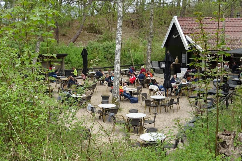 Schoorlse Duinvoet - foto 28