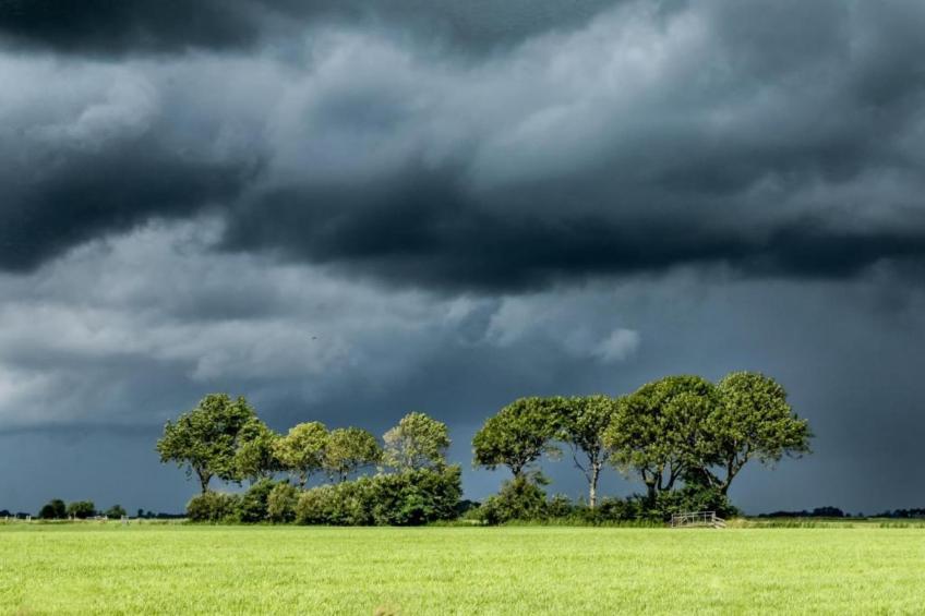 Fijne bungalow in Makkum - foto 39