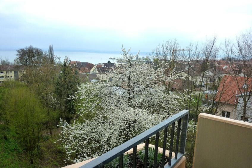 171404 - foto 3