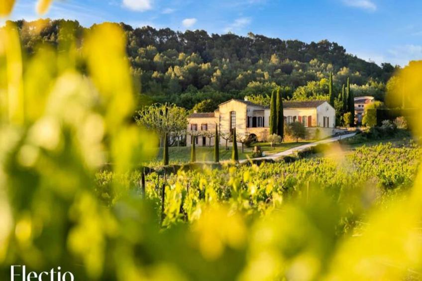 Grande Bastide | Domaine Tour Campanets - foto 2