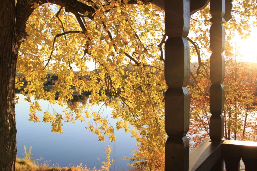 Schwalbennest - foto 14