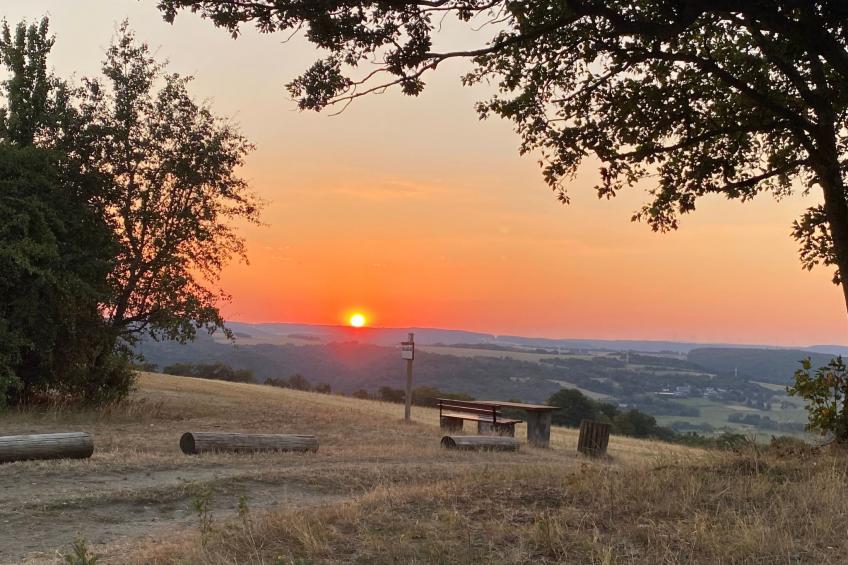 mit Parkplatz und Terrasse - foto 19