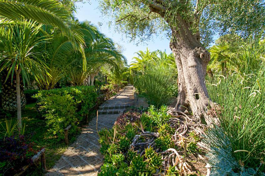 Residence Park Solemaremma (CST326) - foto 39