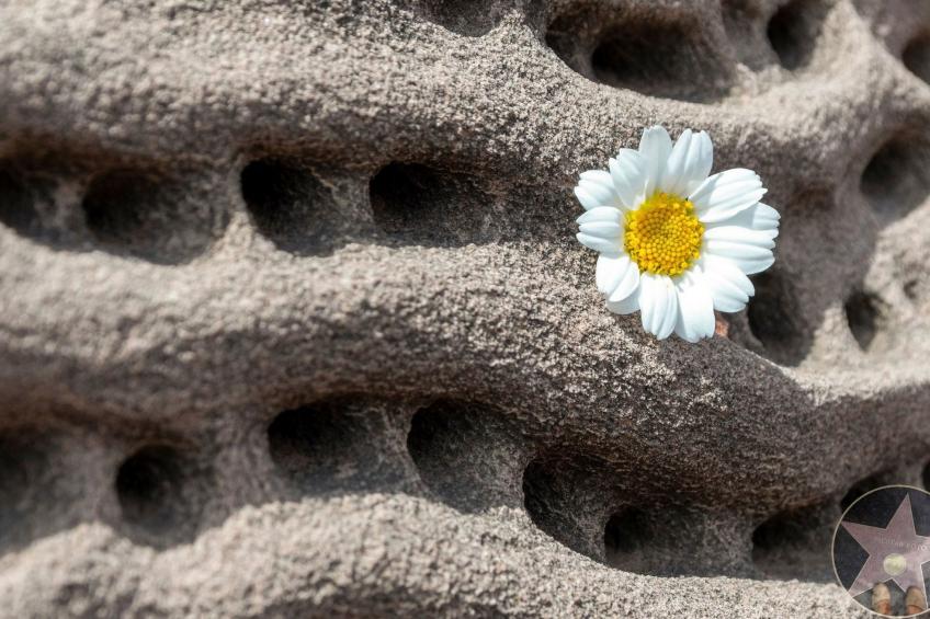 Villa Margarita in Son Bou mit Pool und Meerblick - foto 44