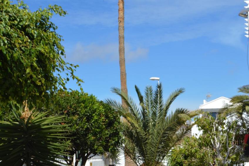 für 5 Personen ca. 65 m² in Puerto del Carmen, Lanzarote (Südküste von Lan - foto 2