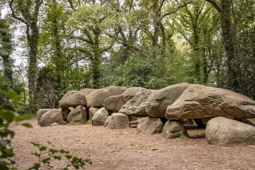 Vakantiepark Hunzedal 15 - foto 26