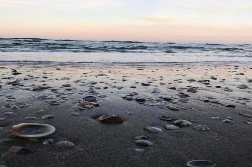 Casa Oliva - foto 26