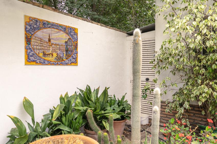 Las Codornices - foto 79