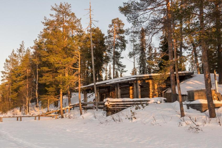 Metsä-luosto - foto 45