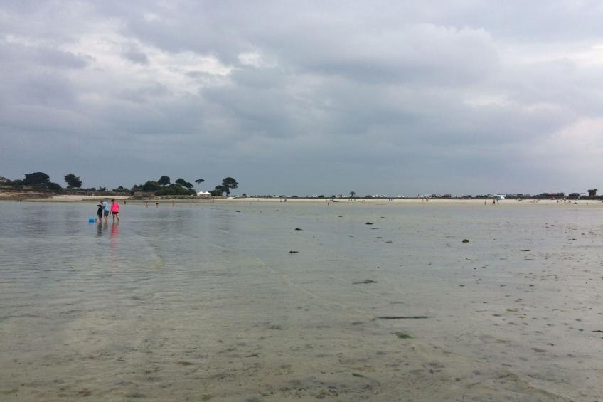 Maison du Rheun Trégondern in Saint-Pol-de-Léon - foto 16