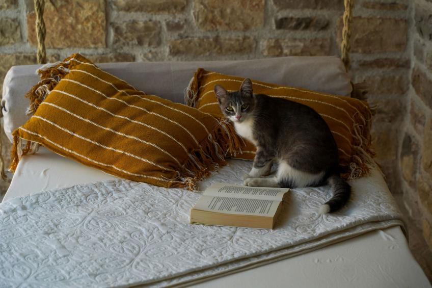 VILLA KARLA - foto 37