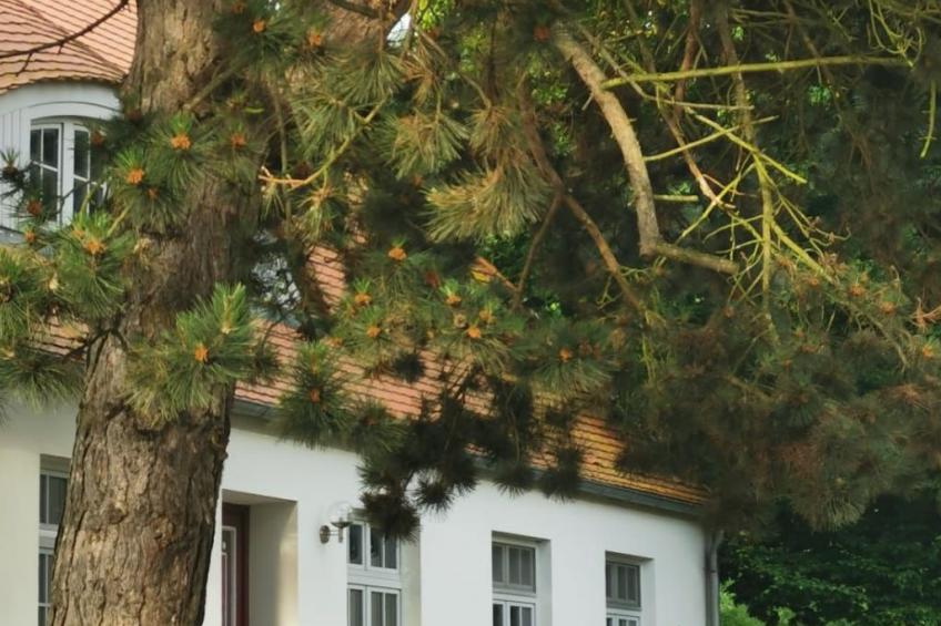 Wohnung für vier Personen im Erdgeschoss - foto 27