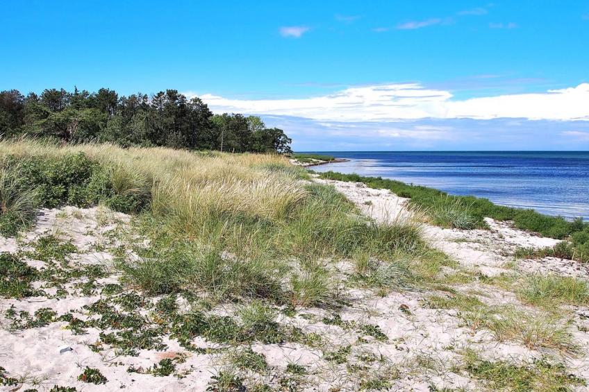 "Liselotte" - 200m from the sea in Sealand - foto 28