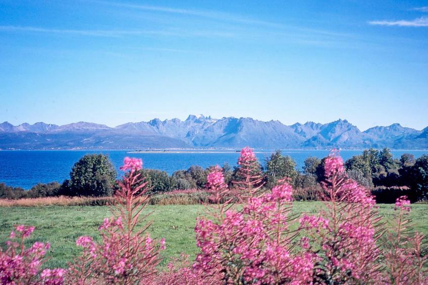 29683 - foto 44