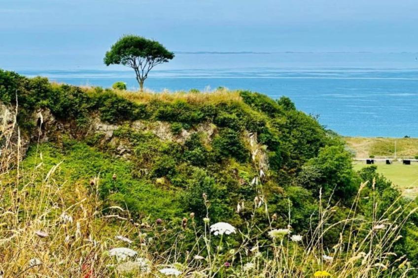 Villa Belle Suzette - foto 35