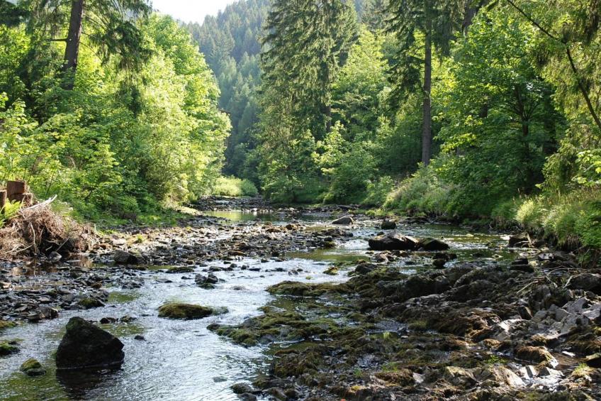 Wohnung in Bad Harzburg mit Garten - foto 17