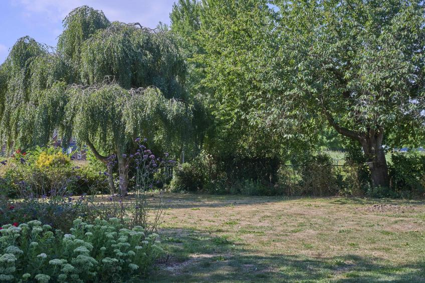 Genderens Buiten - foto 46