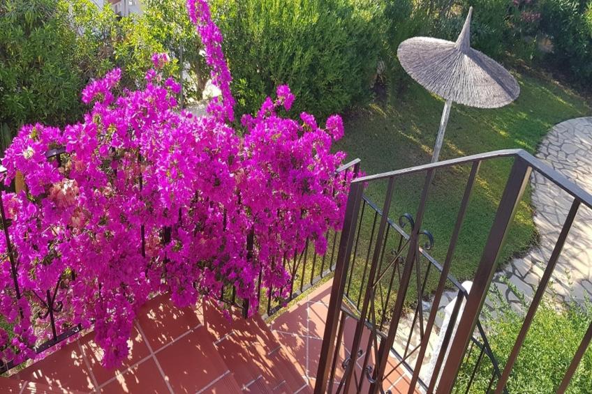 Villa Zapato - foto 23