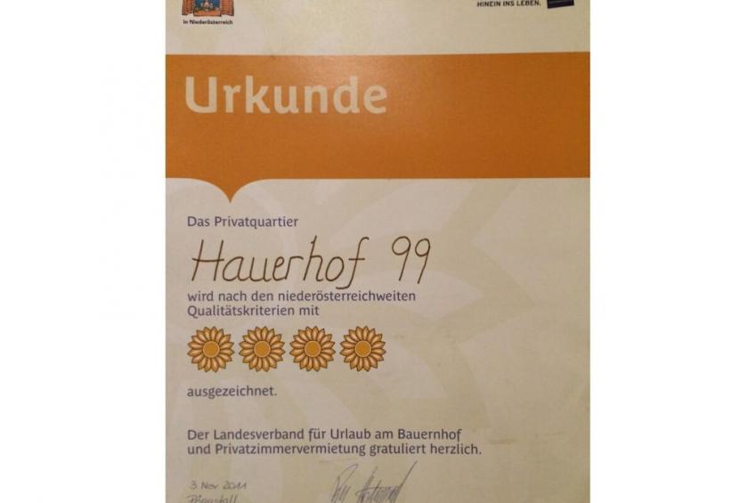 186813 - foto 19