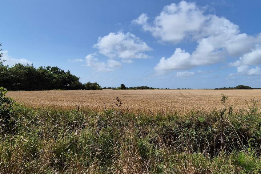 SKÆRBÆKCENTRET - foto 8