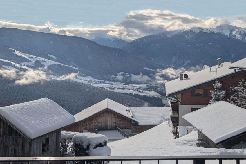 App. Haselstaude - foto 16