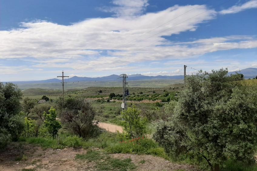 Landwohnung mit Bergblick - foto 29