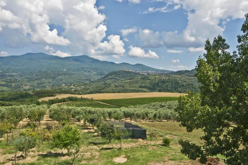 'Villa RosaSpina - foto 16