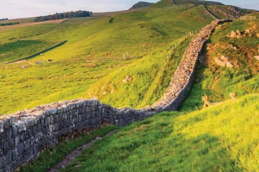 The Rushy Lot - foto 20