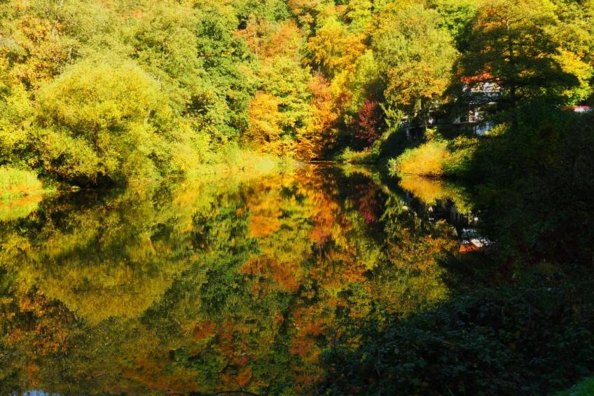 Chalet Wiedfluh in Waldbreitbach - foto 31