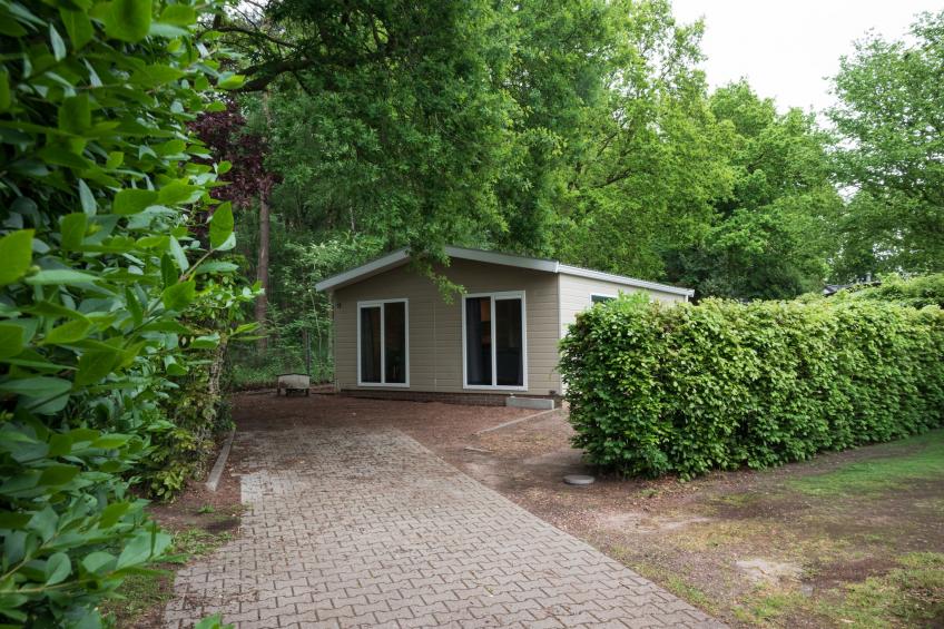 Vakantie home Coevorderweg - foto 31