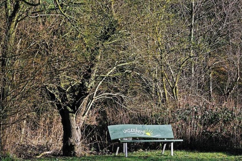 Appartement in Unzenberg Hunsrück - foto 16