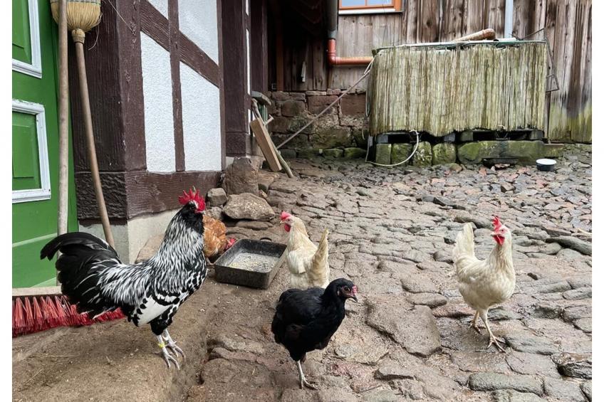 Ferienwohnung Bärbel - foto 10