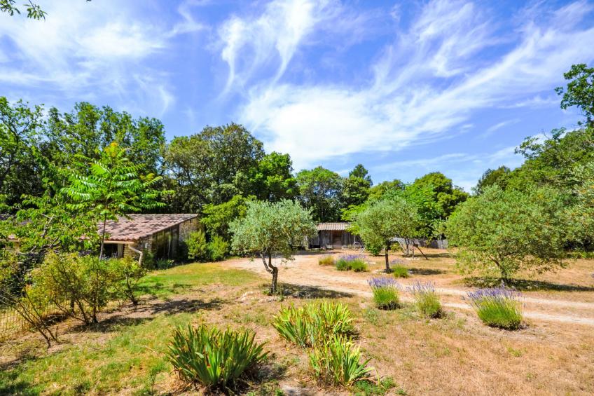 Le Bois d'Amour - foto 33