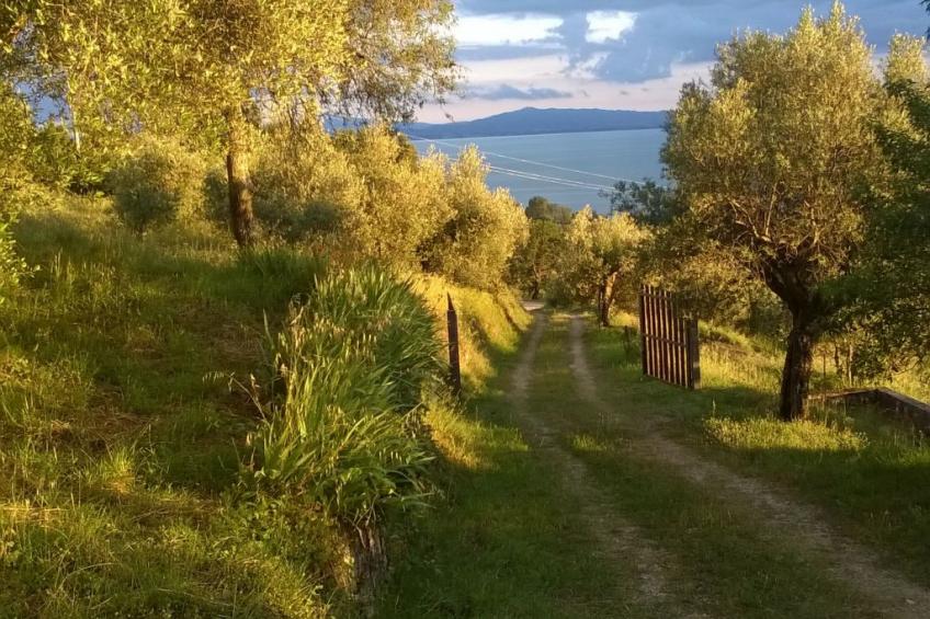 Renovierte Wohnung - foto 20