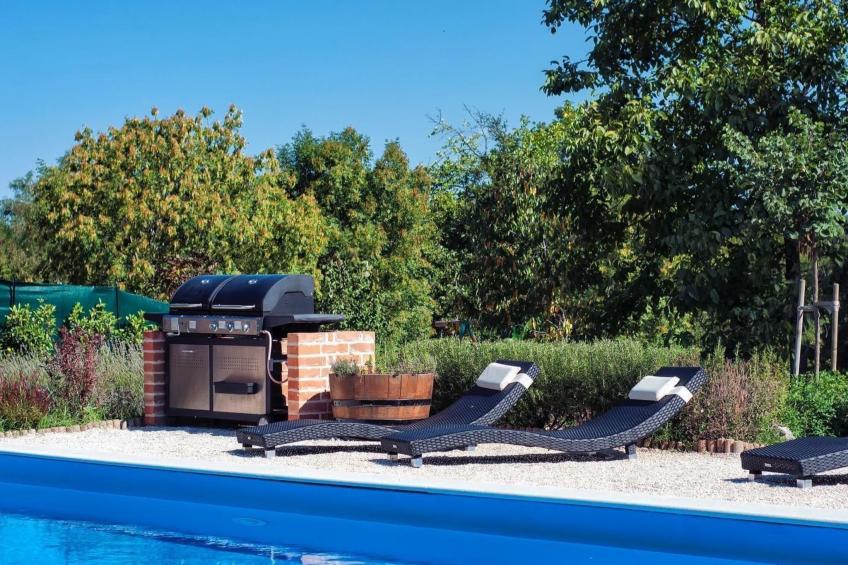 mit Pool, Whirlpool, Terrasse und Garten - foto 10