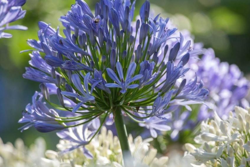 Ferienhaus - foto 22