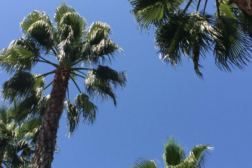 Ferienvilla El Oasis - foto 25