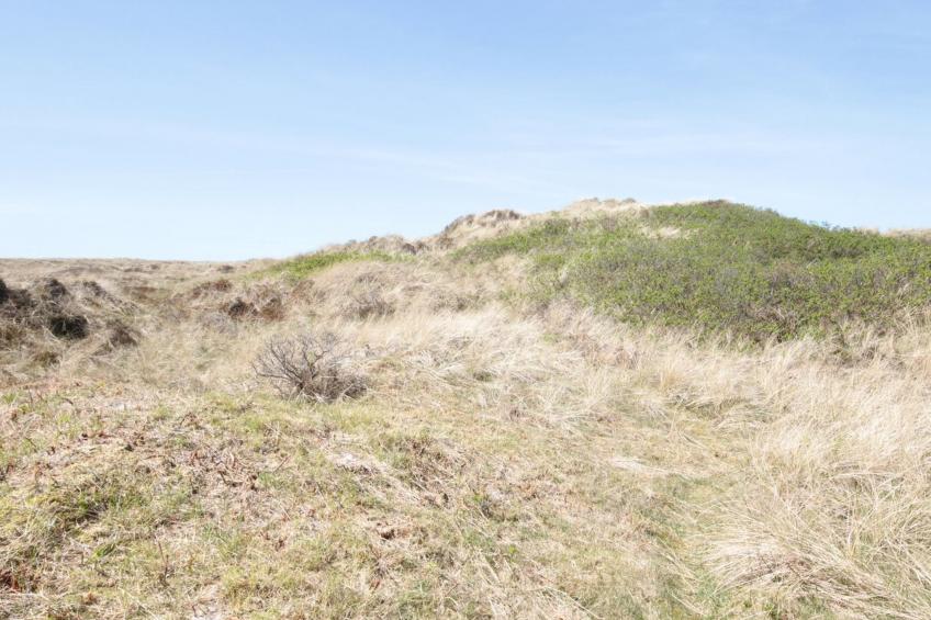 "Aise" - 75m from the sea in Western Jutland - foto 11