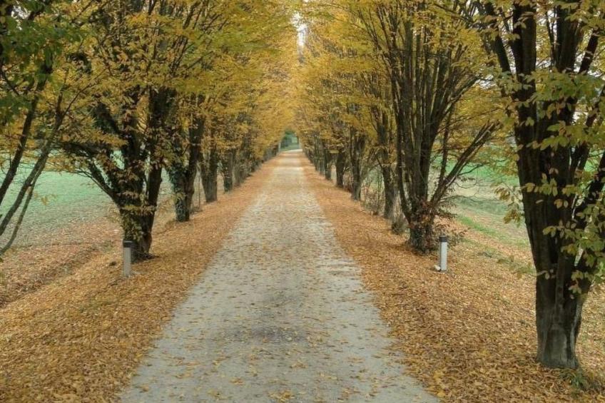 Behindertengerechtes Drei-Zimmer-Appartement, Typ E - foto 9