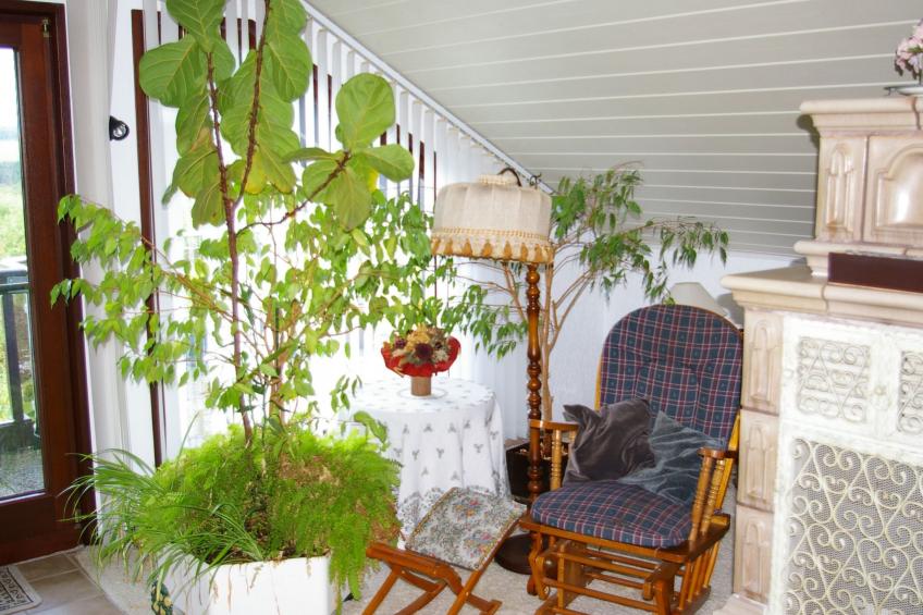 Komfortable Ferienwohnung in Waldnähe - foto 6