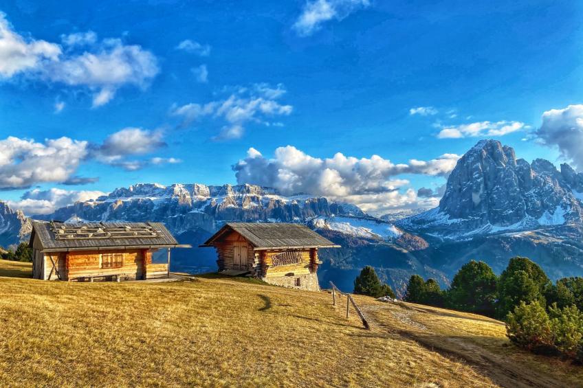 Cesa Vedla DOLOMITES - foto 39