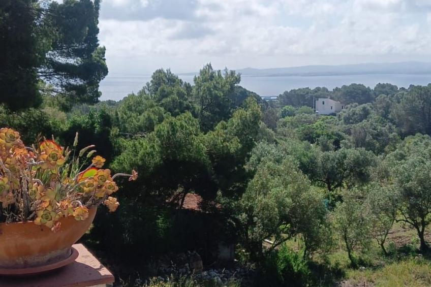 'La casa dei Nonni - foto 3