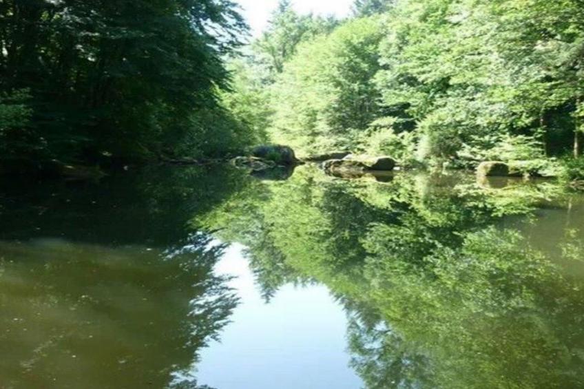 LE HAVRE SAUVAGE - foto 20