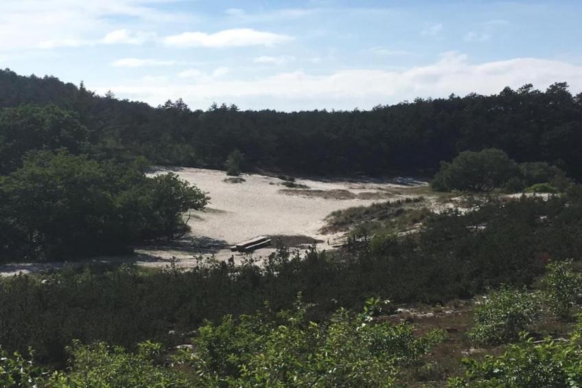 Wilca Hoeve - foto 38