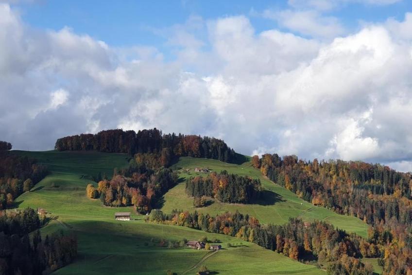 Chalet Traumfleck - foto 56