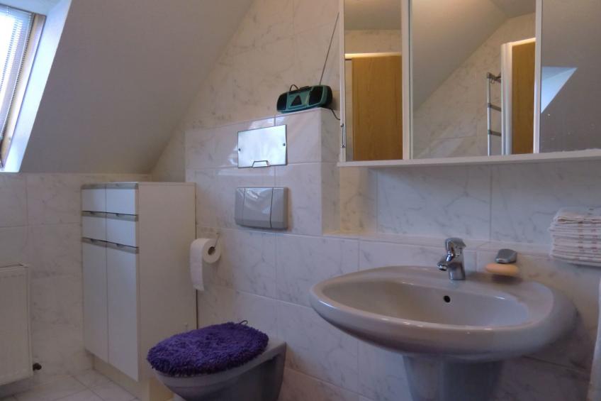 Gesamte Wohnung in Hochstadt - foto 7